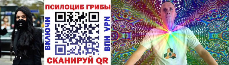omg как войти  даркнет сайт  Берёзовский  Псилоцибиновые грибы Psilocybe 