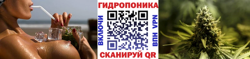 Конопля AK-47  Берёзовский 